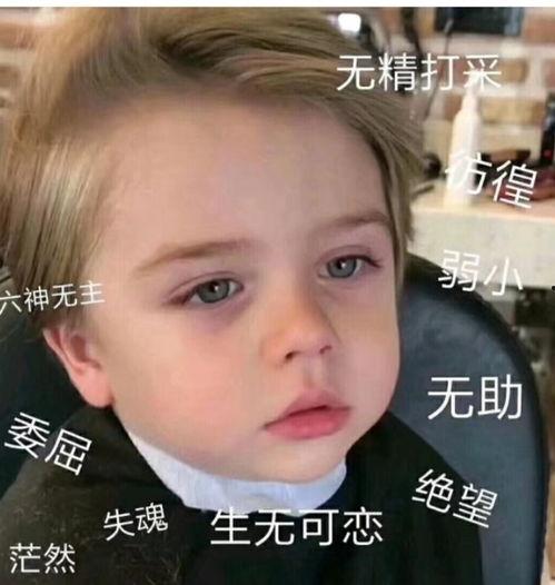 微信表情吃瓜吃瓜是什么意思啊,揭秘微信表情“吃瓜吃瓜”的内涵与流行原因